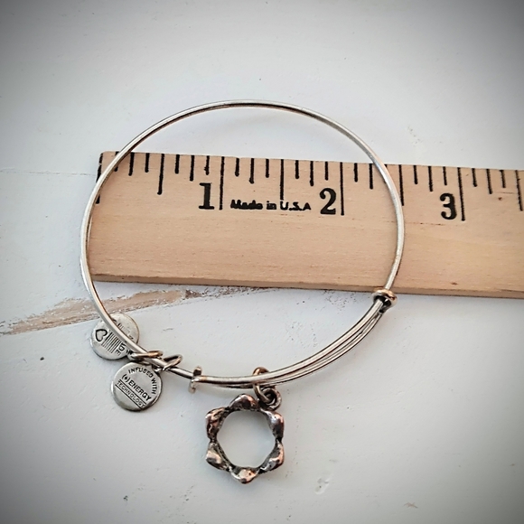 Alex and Ani Crown Charm Bangle - Picture 4 of 4